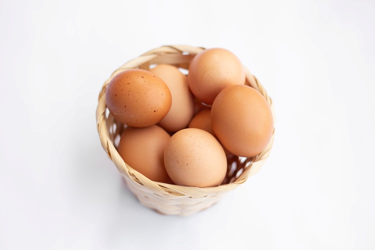 Stowarzyszenie Otwarte Klatki