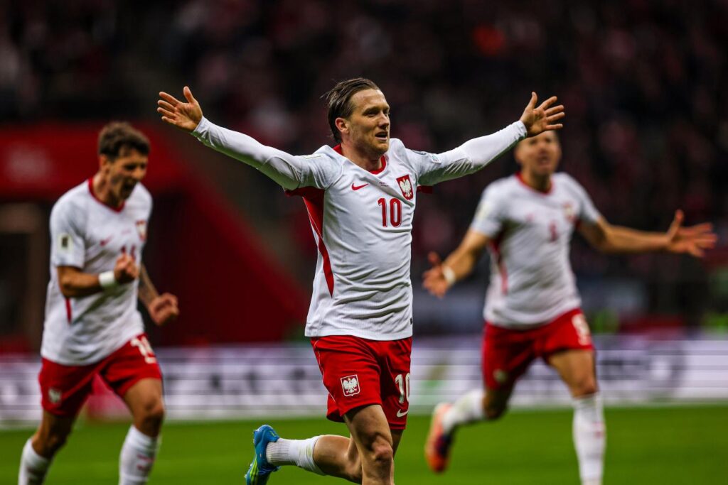 Foto: Piotr Zieliński po zdobyciu bramki w meczu z Albanią / Źródło: PZPN