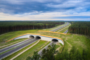 Foto - Źródło: Generalna Dyrekcja Dróg Krajowych i Autostrad - Oddział Rzeszów
