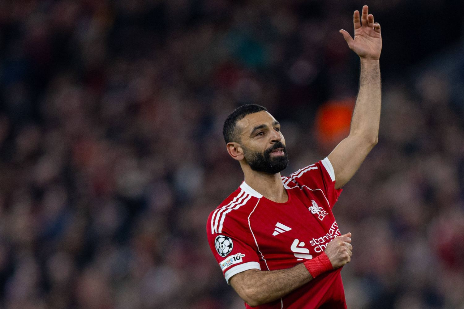 Foto / Źródło: Getty Images