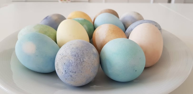 Fot. PAP/M. Młynarczyk-Zugaj