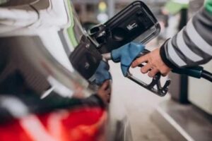foto/źródło: Serwis Informacyjny Urzędu Miasta Rzeszowa